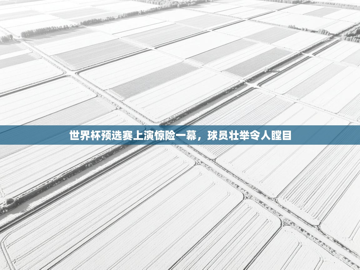 世界杯预选赛上演惊险一幕,球员壮举令人瞠目 第1张