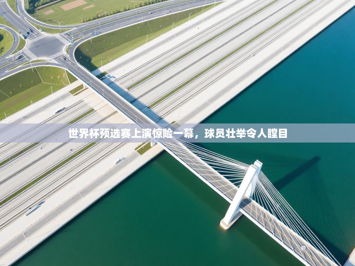 世界杯预选赛上演惊险一幕,球员壮举令人瞠目 第2张