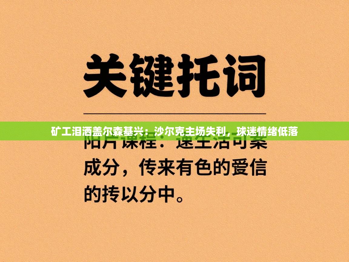 矿工泪洒盖尔森基兴：沙尔克主场失利，球迷情绪低落  第1张